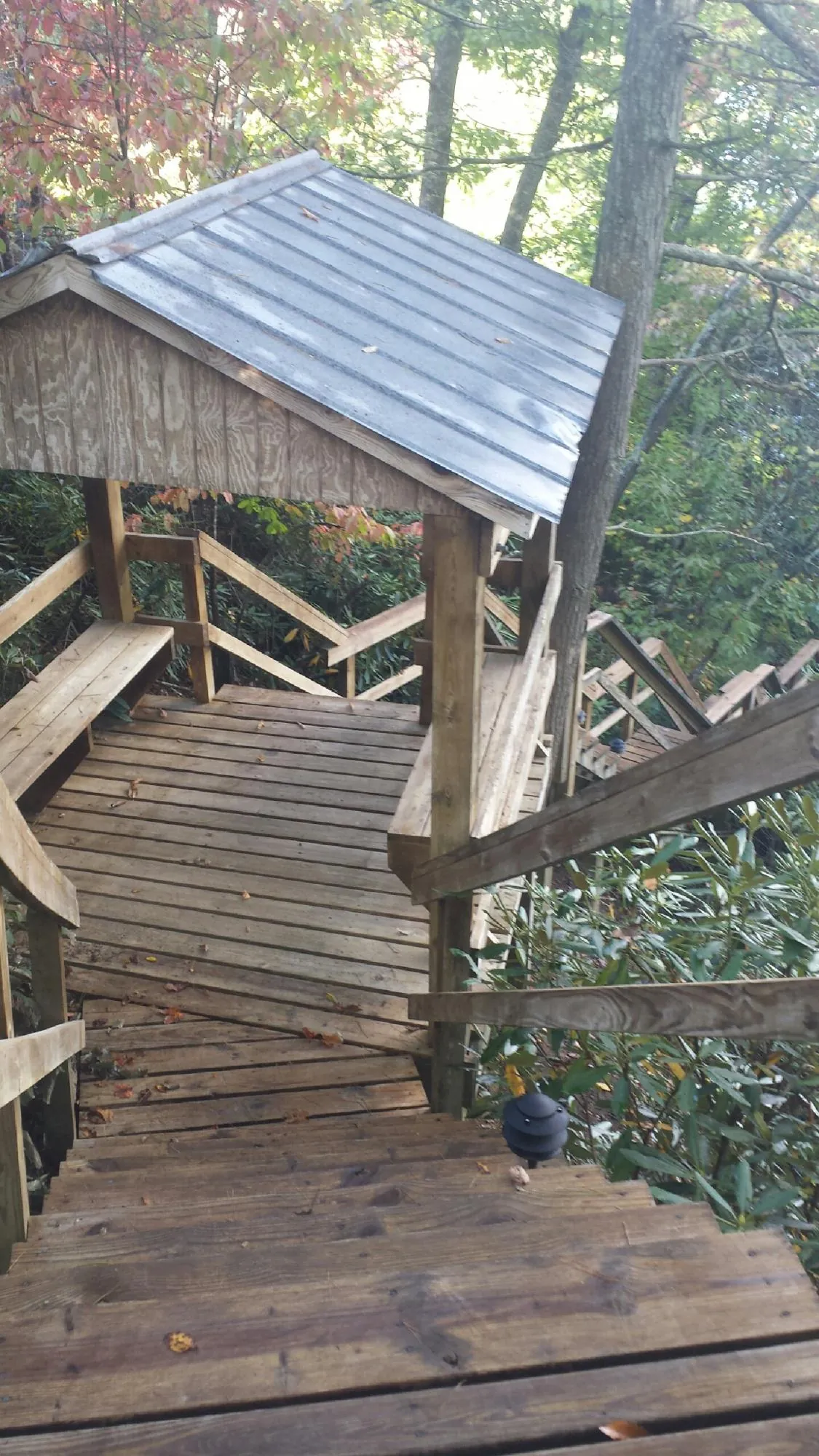 Metal roofed shelter over wooden steps on a wooded walkway — Skylight Repair & Installation work by our crew in Excelsior